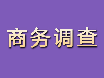 株洲商务调查